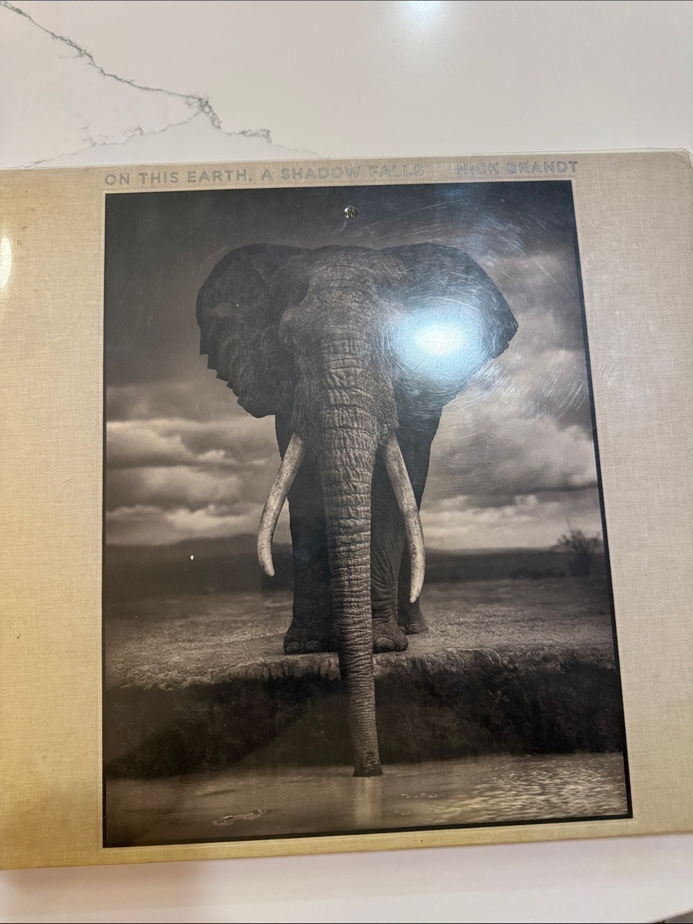 On This Earth, A Shadow Falls by Nick Brandt